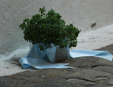 Μπομπονιέρες- Προσκλητήρια Προτάσεις Βάπτισης